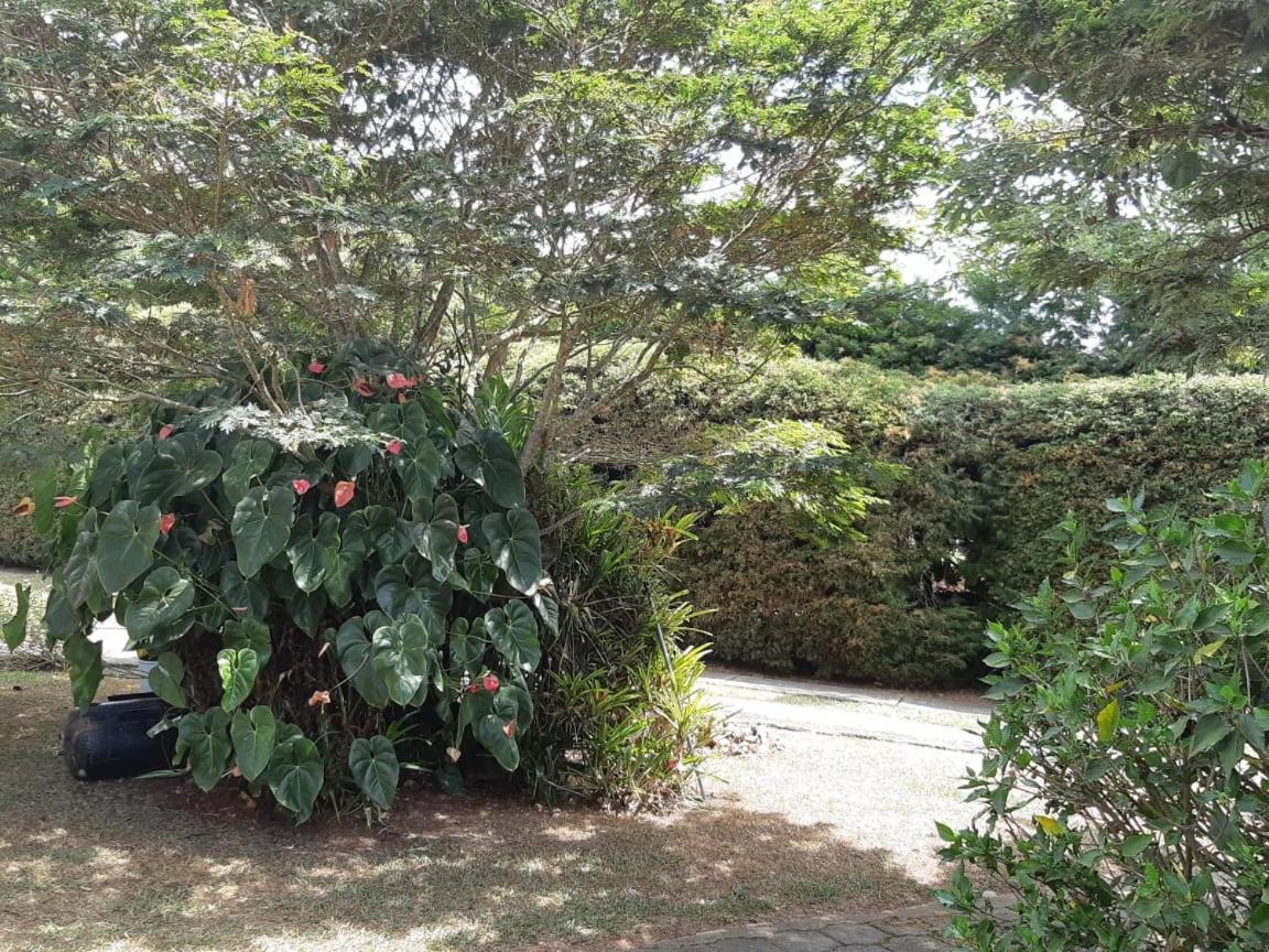 Finca Paraiso Calima Ngoại thất bức ảnh