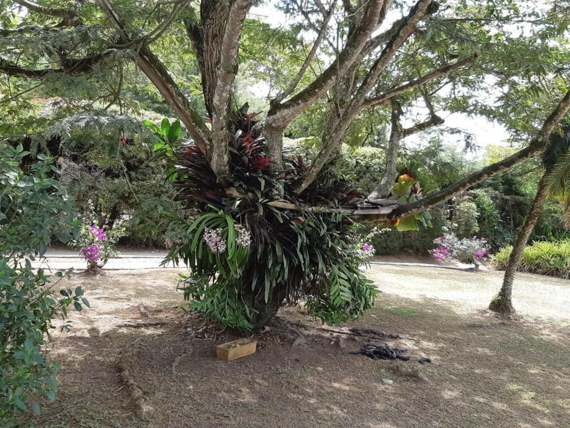 Finca Paraiso Calima Ngoại thất bức ảnh