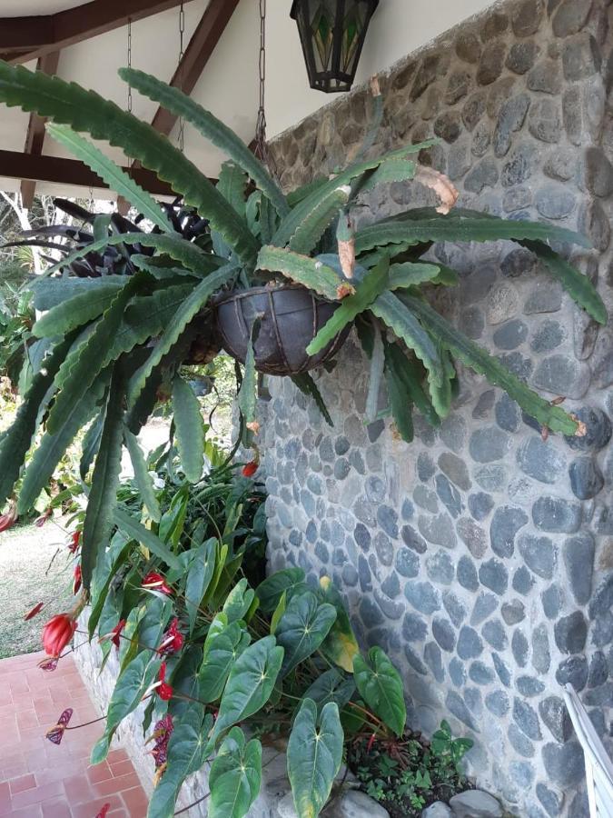 Finca Paraiso Calima Ngoại thất bức ảnh